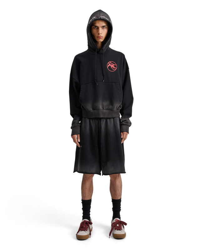 ALIS MALTO CROPPED HOODIE W/ PRINT Hoodie